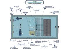 Гринлос Норд 40