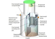 Панда Хайд 4